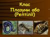 Клас плазуни. (Рептілії)