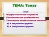 Томат