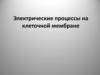 Электрические процессы на клеточной мембране