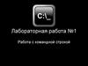 Работа с командной строкой