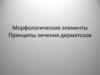 Морфологические элементы. Принципы лечения дерматозов