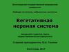 Вегетативная нервная система