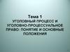 Уголовный процесс и уголовно-процессуальное право: понятие и основные положения