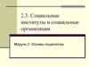 Социальные институты и социальные организации