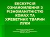 Різноманітність комах та хребетних тварин луки