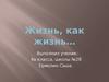 Жизнь, как жизнь (4 класс)
