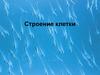 Строение и функции клетки