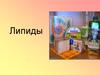 Липиды - жиры и жироподобные органические соединения, практически нерастворимые в воде
