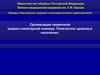 Организация первичной медико-санитарной помощи. Показатели здоровья населения