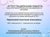 Аттестационная работа. Планирование работы школы в области исследовательской и проектной деятельности