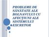 Probleme de sănătate ale bolnavului cu afecţiuni ale sistemului excretor. (Lecție 15)