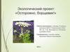 Экологический проект: «Осторожно, борщевик!»