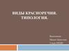 Виды красноречия. Типология