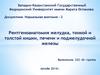 Рентгеноанатомия желудка, тонкой и толстой кишки, печени и поджелудочной железы