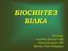 Біосинтез білка