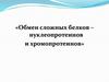 Обмен сложных белков – нуклеопротеинов и хромопротеинов