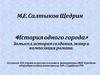 Замысел, история создания, жанр и композиция романа М.Е. Салтыкова-Щедрина «История одного города»