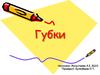 Тип Губки