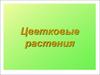 Цветковые растения