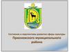 Состояние и перспективы развития сферы культуры Прионежского муниципального района
