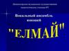 Вокальный ансамбль юношей «ЕЛМАЙ»