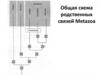 Общая схема родственных связей Metazoa