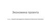 Экономика проекта
