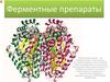 Ферментные препараты