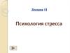 Стресс и эмоциональное выгорание специалиста. Характеристика методов и приемов психологической самопомощи в борьбе со стрессом