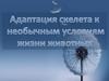 Адаптация скелета животных к необычным условиям жизни