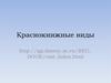 Краснокнижные виды