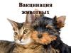Вакцинация животных