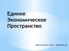 Единое экономическое пространство