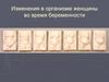 Изменения в организме женщины во время беременности