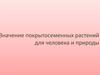 Значение покрытосеменных растений в жизни природы и человека