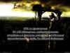 Об обращении с радиоактивными отходами и о внесении изменений в отдельные законодательные акты Российской Федерации
