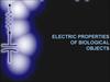 Electric properties of biological objects