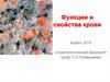 Функции и свойства крови