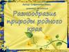 Разнообразие природы родного края