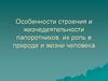 Строение и жизнедеятельность папоротников, их роль в природе и жизни человека