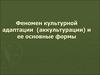 Феномен культурной адаптации (аккультурации) и ее основные формы