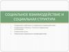 Социальное взаимодействие и социальная структура