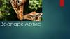 Зоопарк Артис