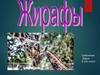 Изучение жирафов