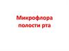 Микрофлора полости рта