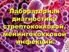 Лабораторная диагностика стрептококковой, менингококковой инфекций