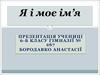Портфоліо Бородавко Анастасії