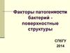 Факторы патогенности бактерий - поверхностные структуры