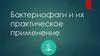 Бактериофаги и их практическое применение