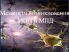 Механизм возникновения МПП и МПД